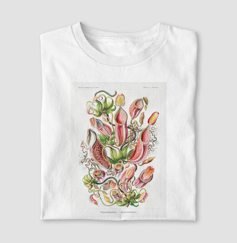 Plantas Carnívoras