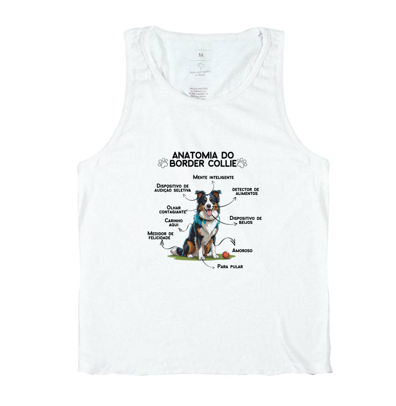 Anatomia do Border Collie
