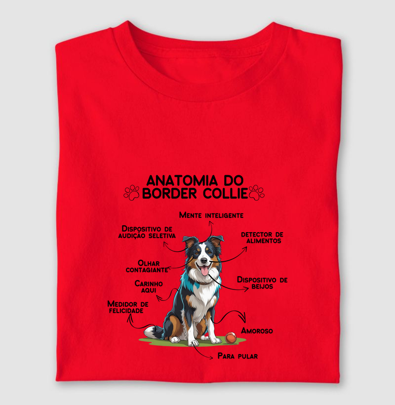 Anatomia do Border Collie
