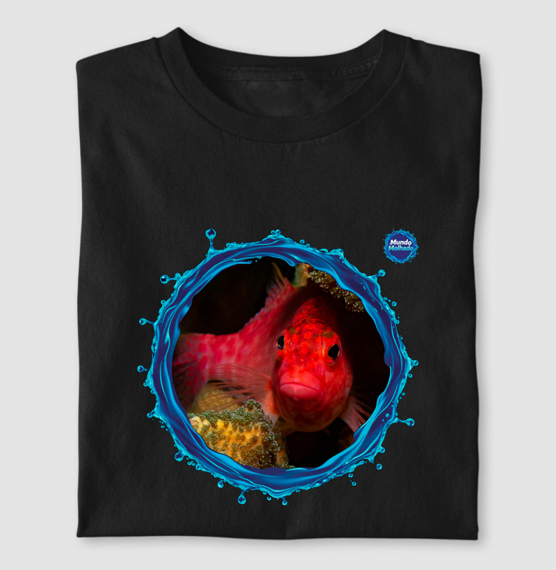 Peixe Falcão Coral - Mar de Cortez