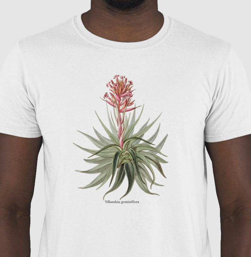Camiseta Tshirt Tillandsia geminiflora