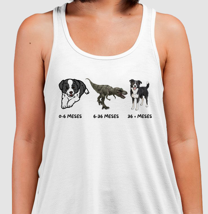 A evolução do border collie