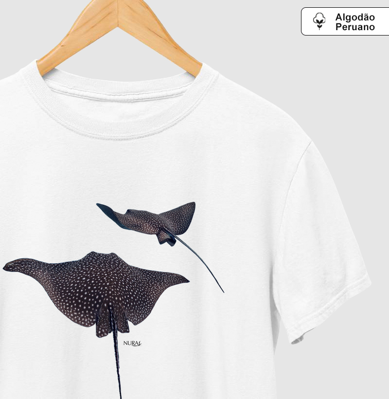 Arraia Pintada 