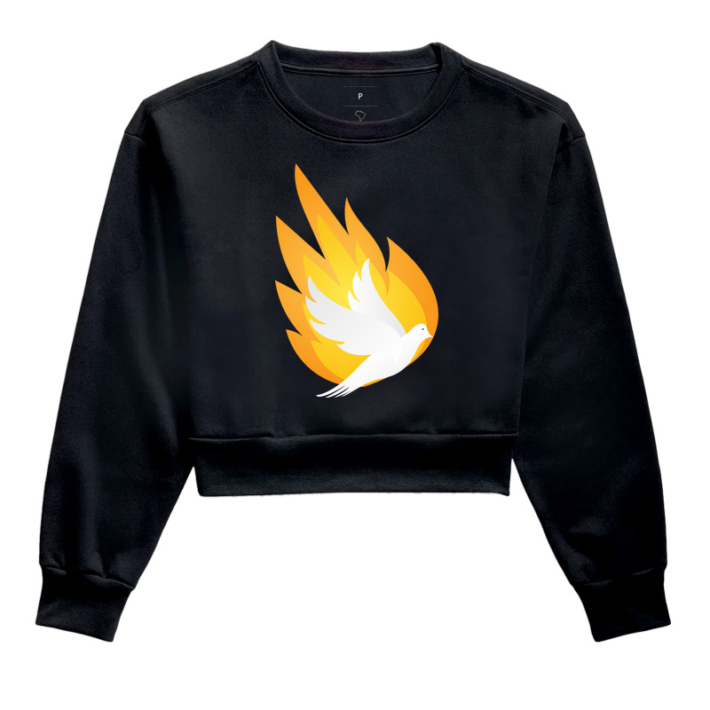 Camisa Espírito Santo