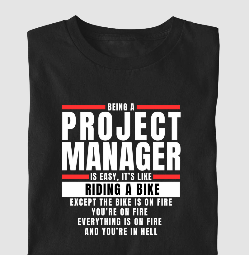 Project Manager II