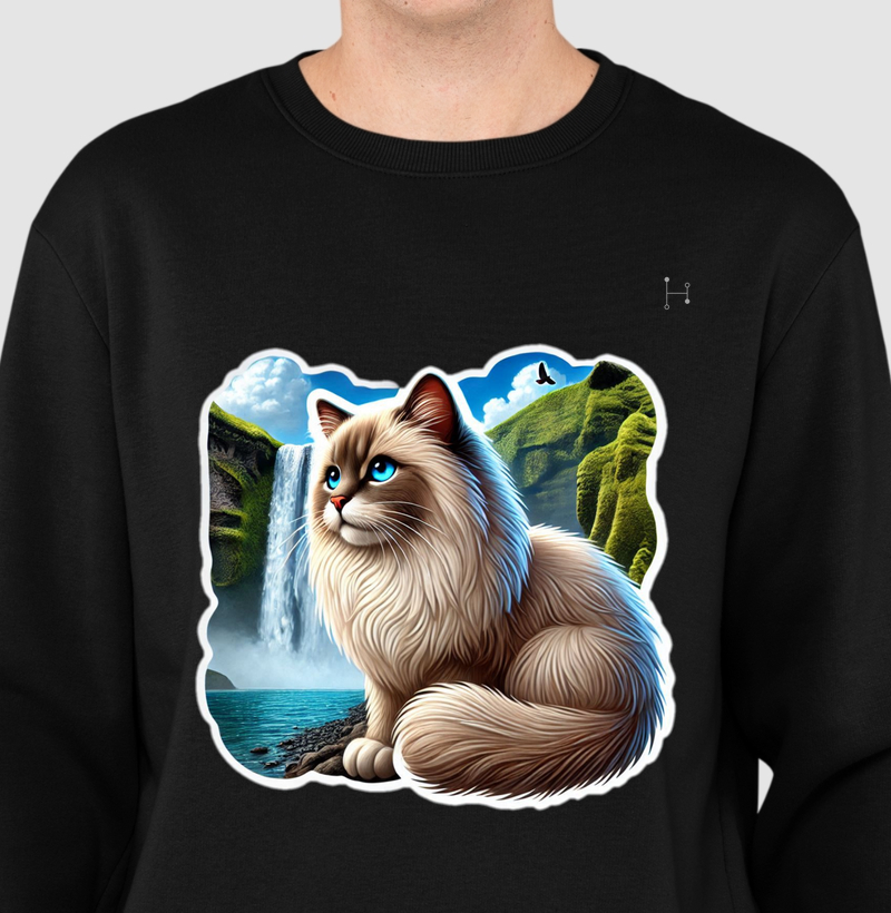 Gato - Ragdoll
