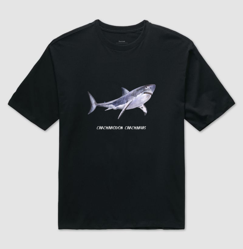 Carcharodon carcharias