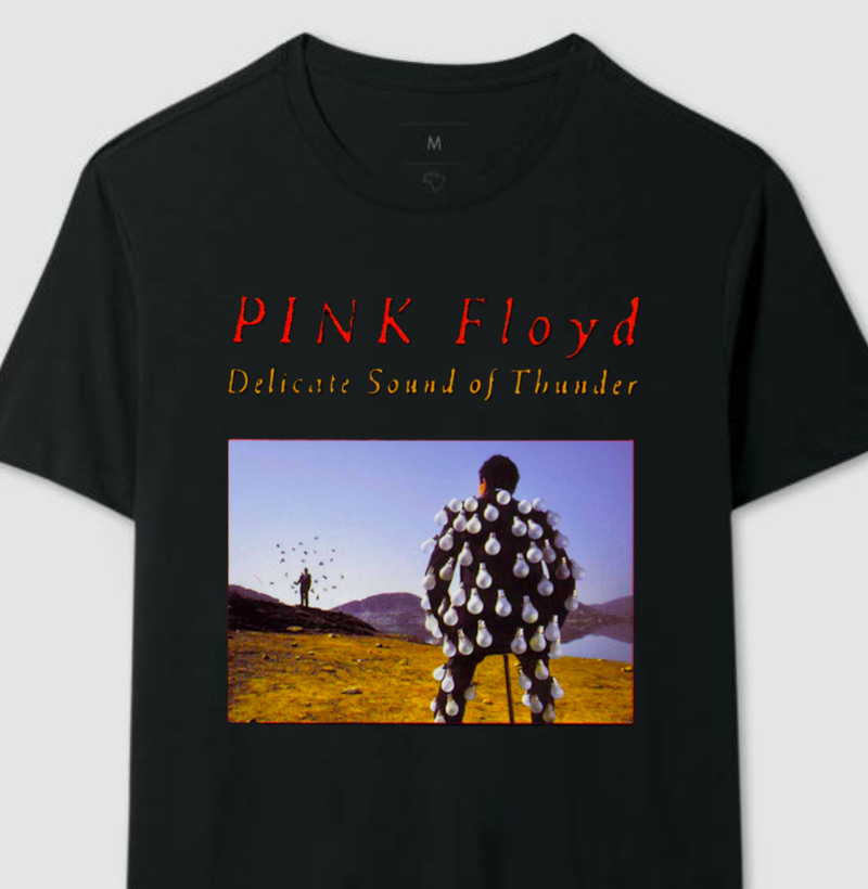 Pink Floyd Delicate Sound of Thunder