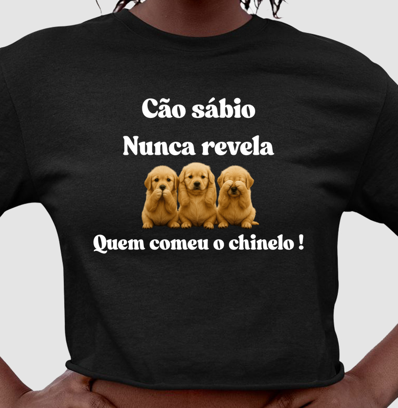 Cão sábio nunca revela quem comeu o chinelo!