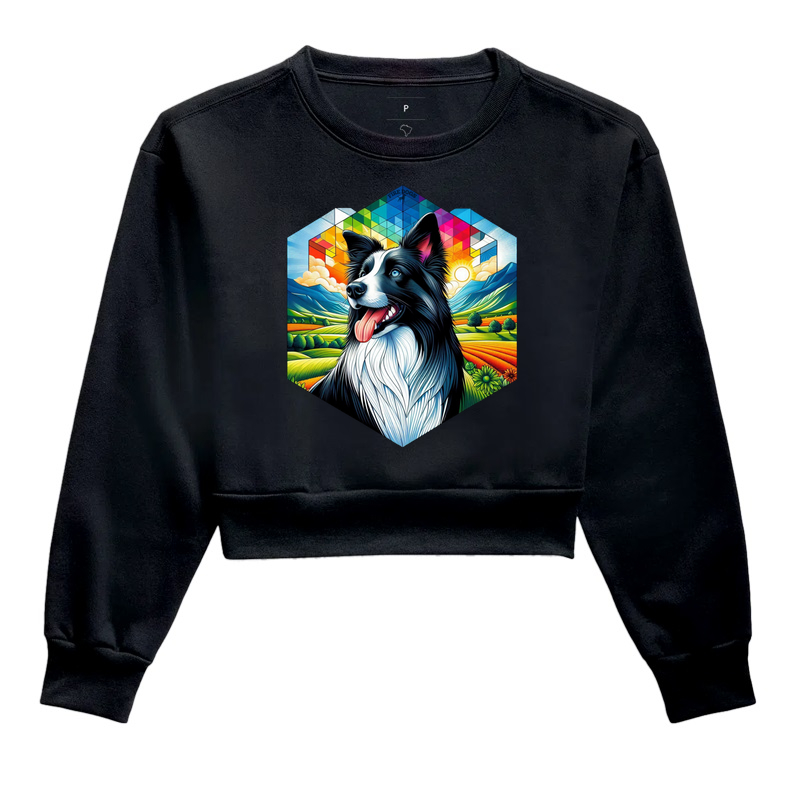 Border Collie Colorful