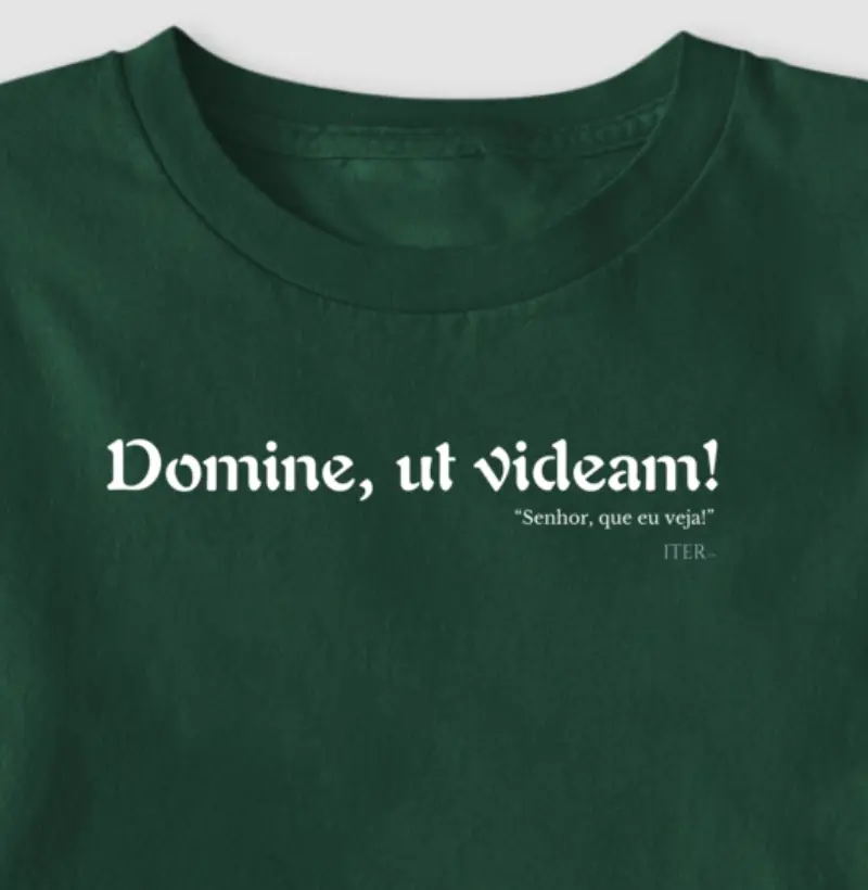 Domine, ut videam - Senhor, que eu veja