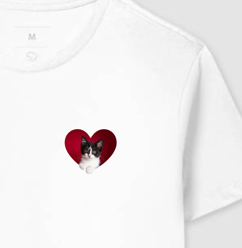 Meu Coração é Frajolinha