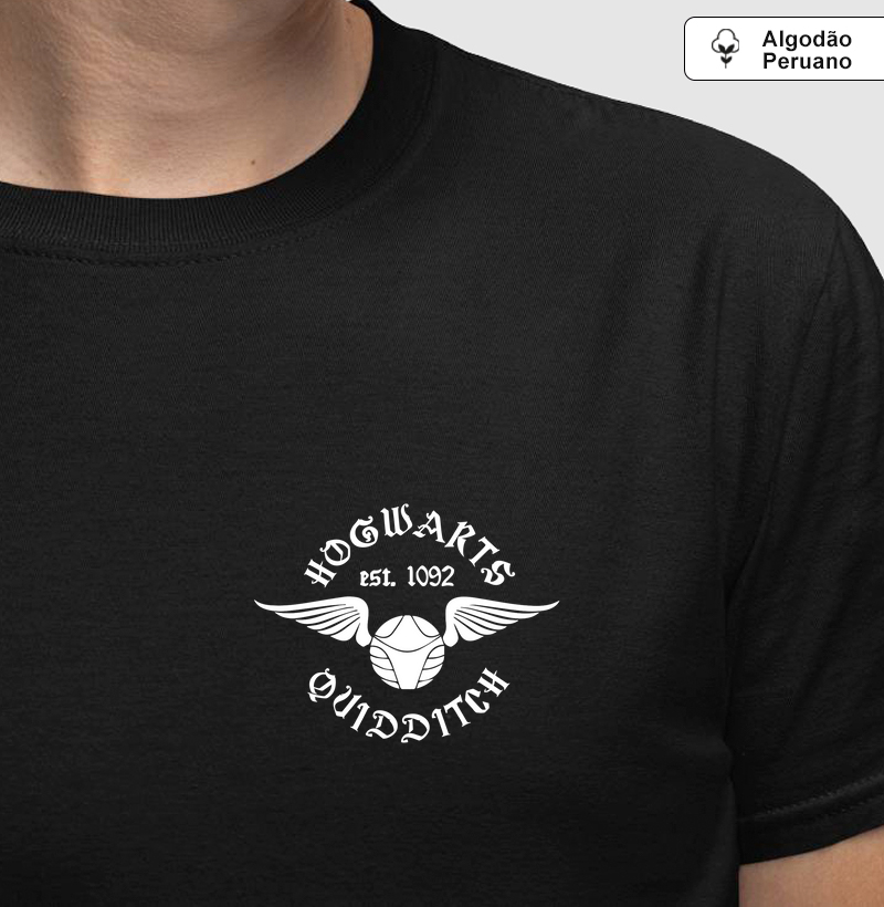 Pomo de Ouro - Harry Potter