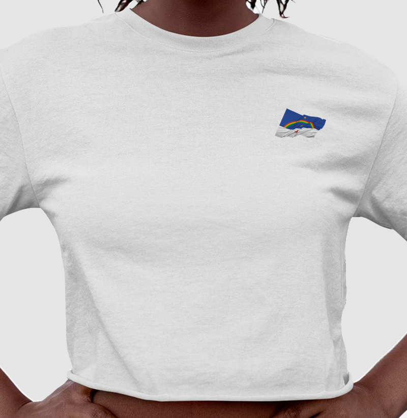 Bandeira de Pernambuco