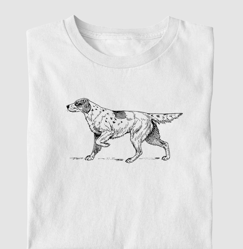 Setter dog