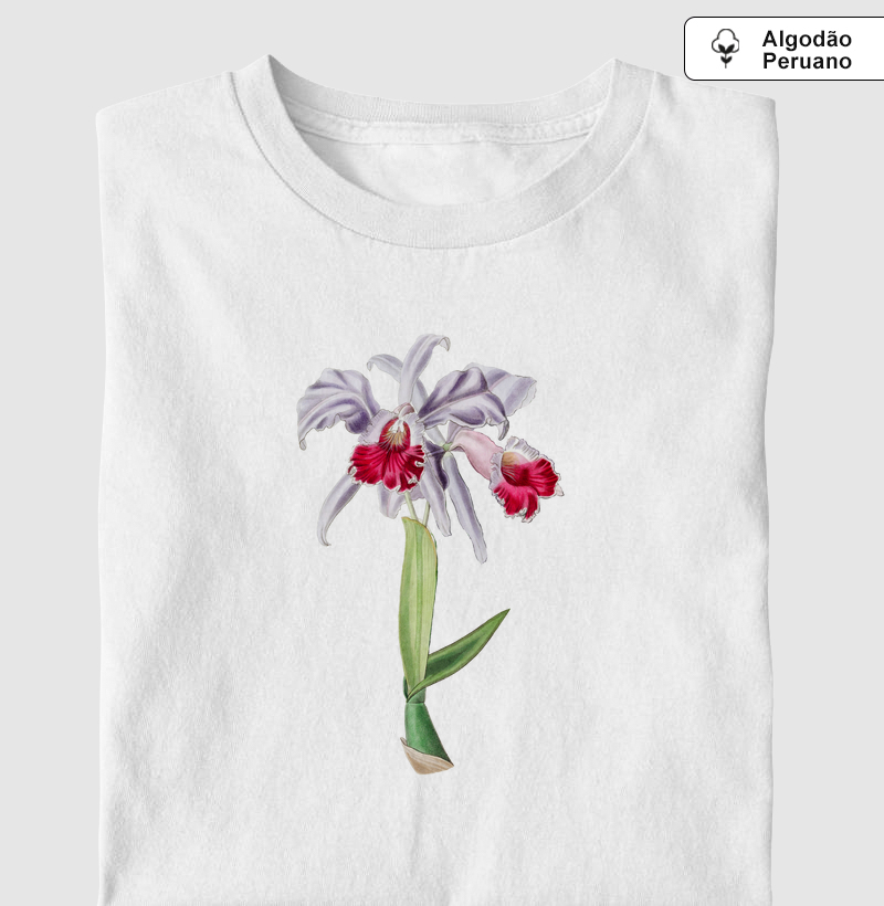Vintage lilac cattleya flower 