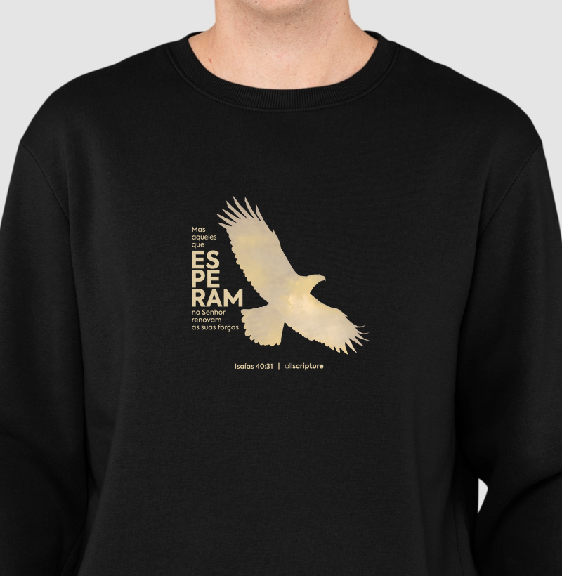 Mas aqueles que ESPERAM no Senhor - Isaías 40:31