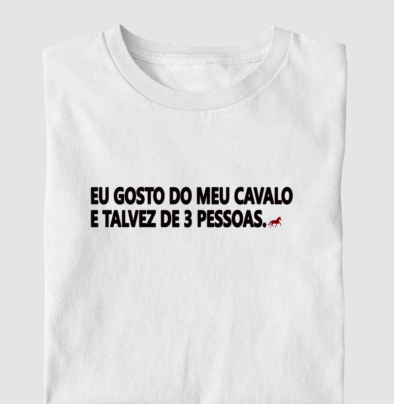 Eu gosto do meu cavalo