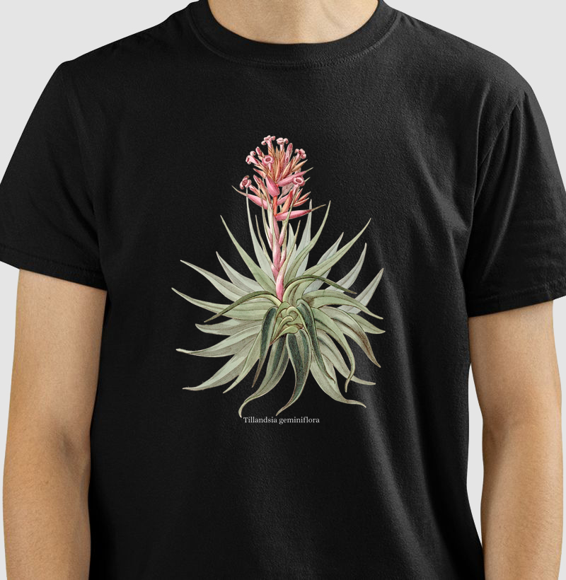 Camiseta Tshirt Tillandsia geminiflora