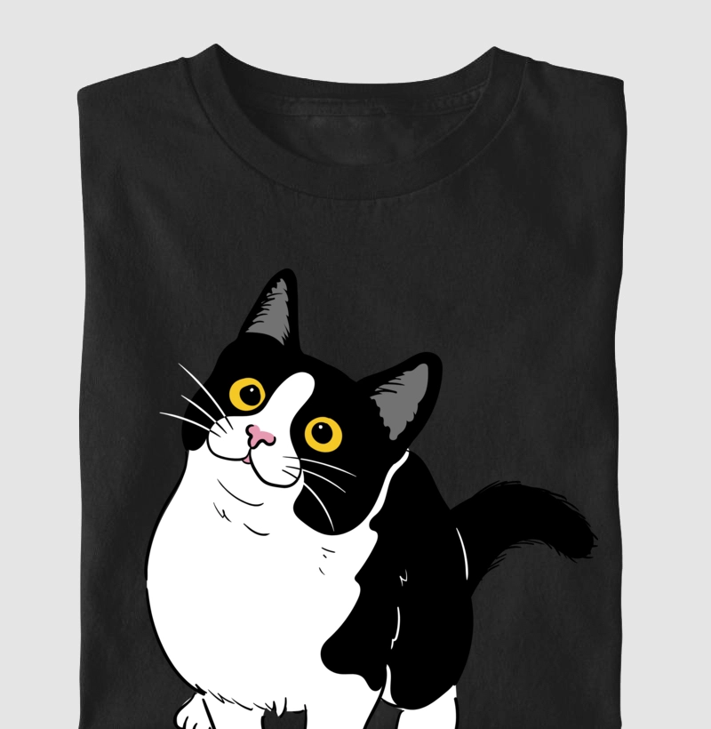 Pet - Gato