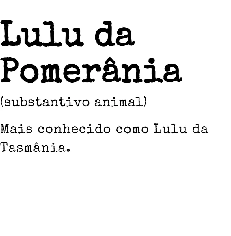 Lulu da Pomerânia s.a. 05