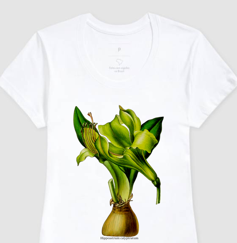 Camiseta Feminina Hippeastrum calyptratum