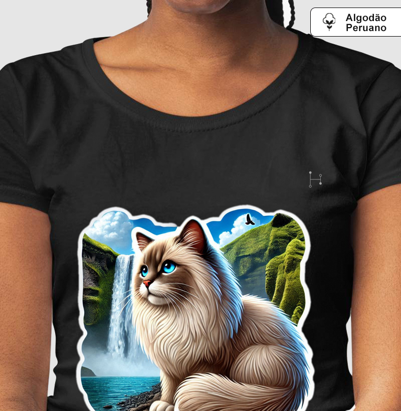 Gato - Ragdoll