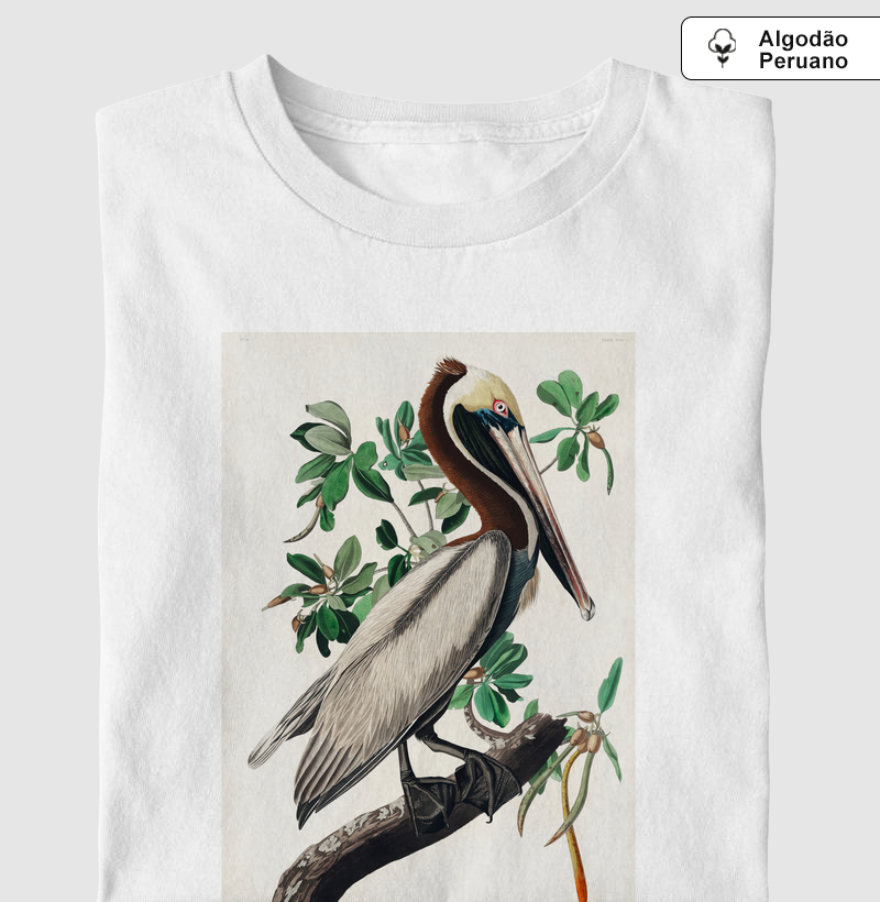 Brown Pelican