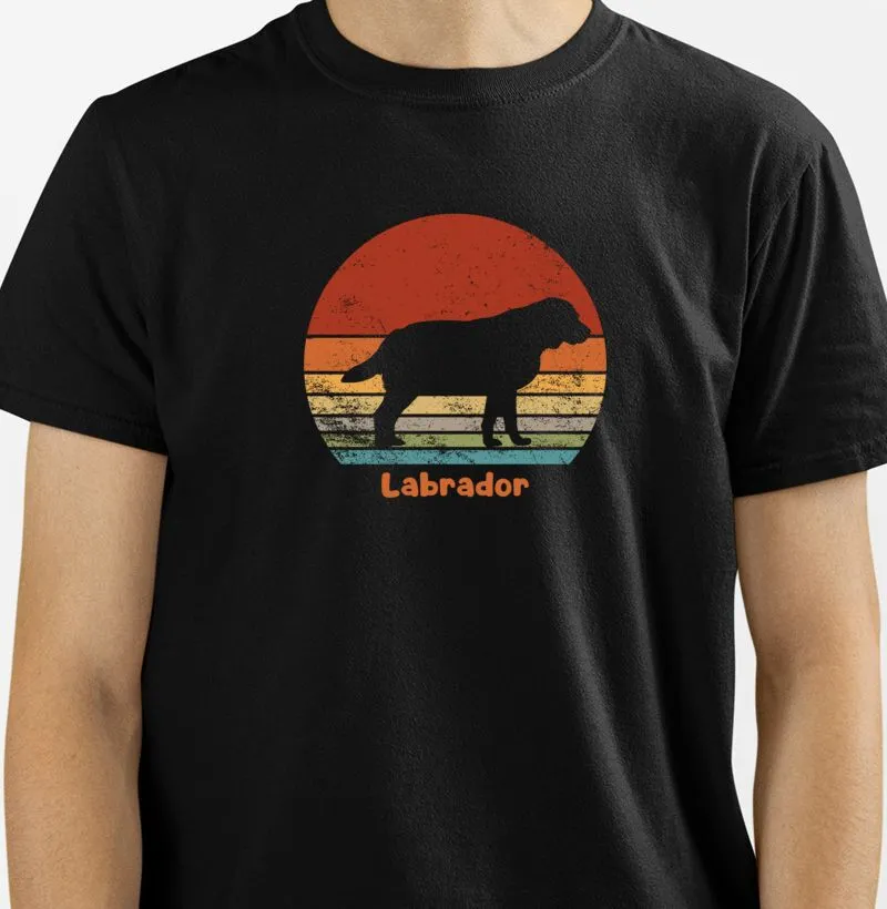 Sunset Labrador