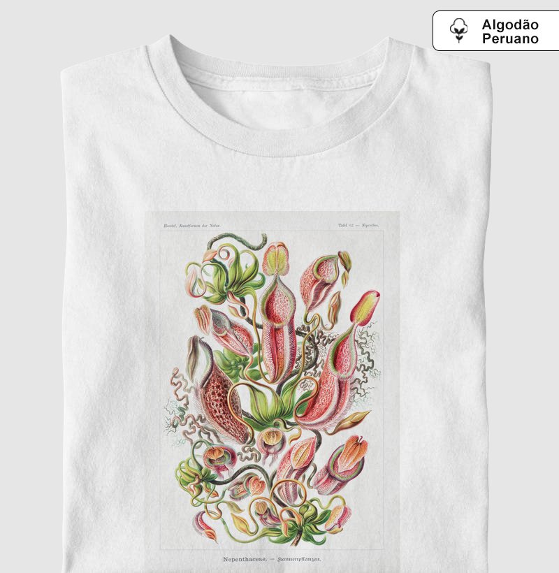 Nepenthaceae