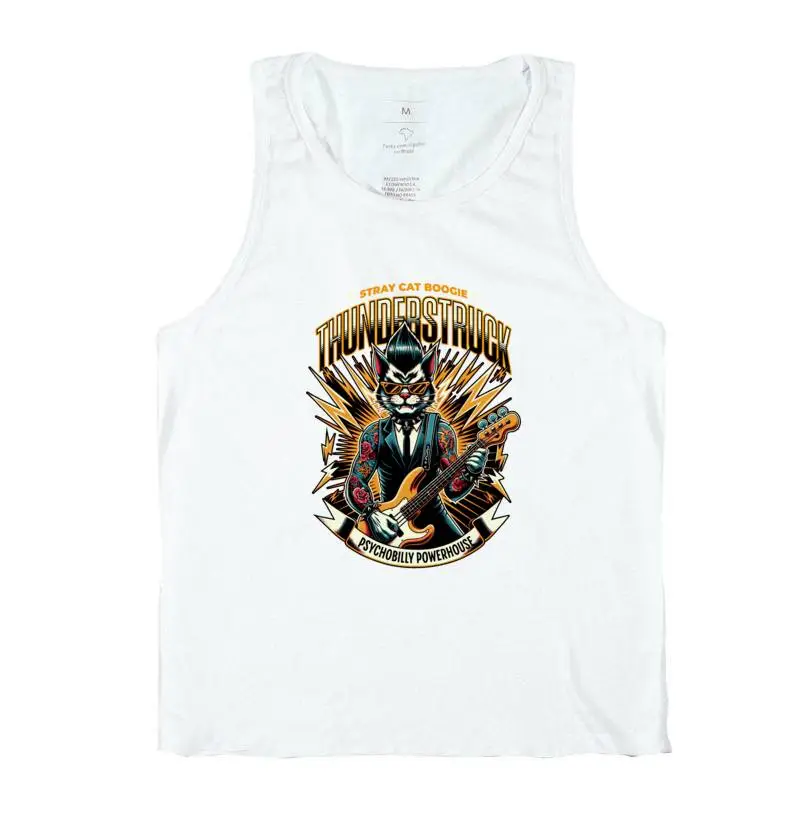 Thunderstruck Stray Cat Boogie