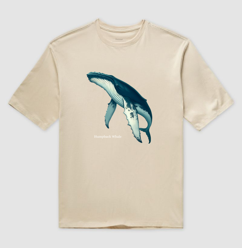 Humpback Whale