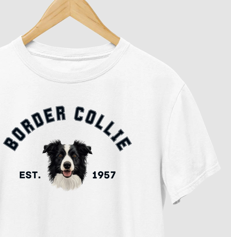 College - Border Collie