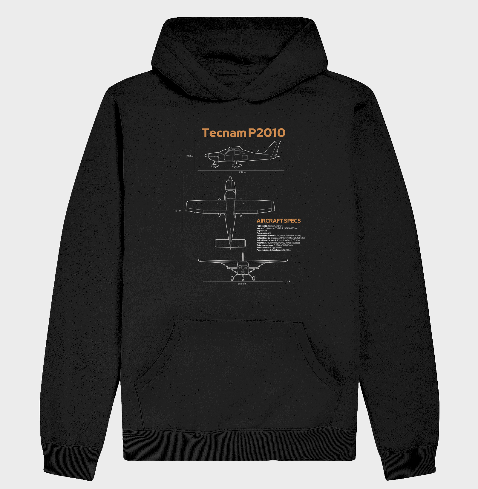 Tecnam P2010 - Blueprint