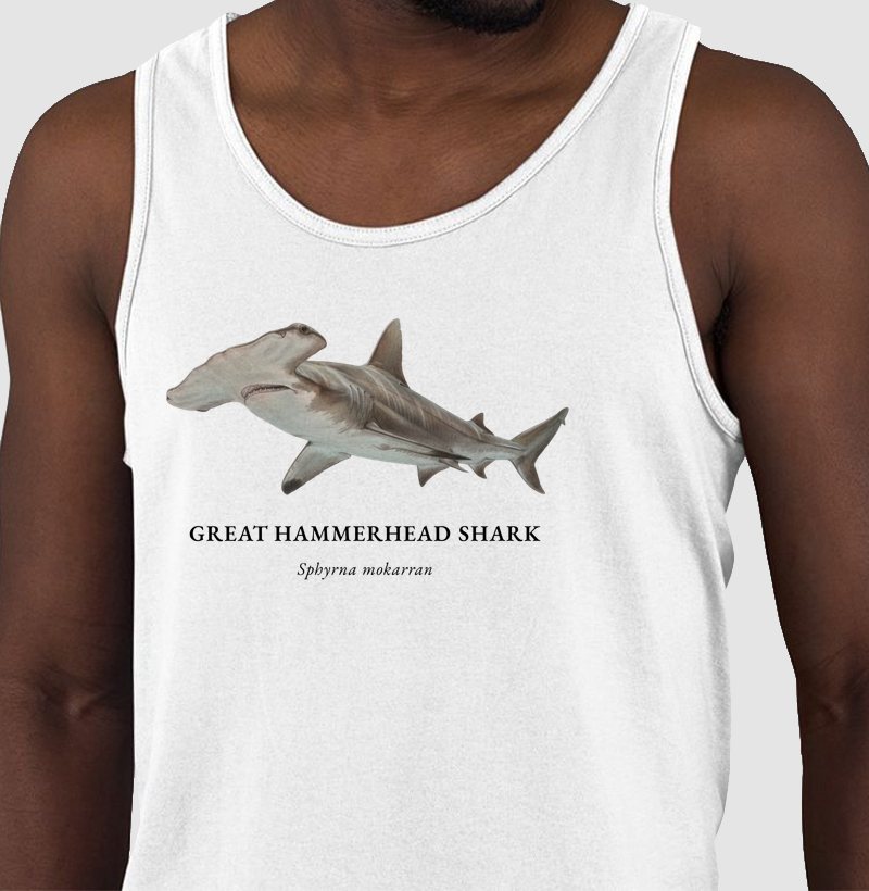 Great Hammerhead Shark