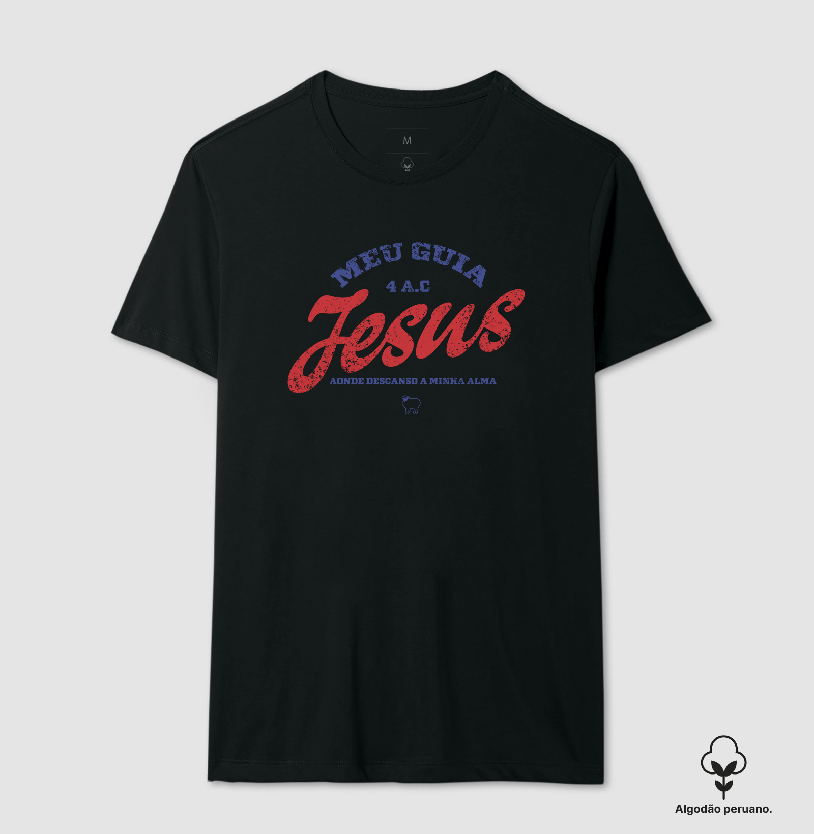 Jesus Meu Guia