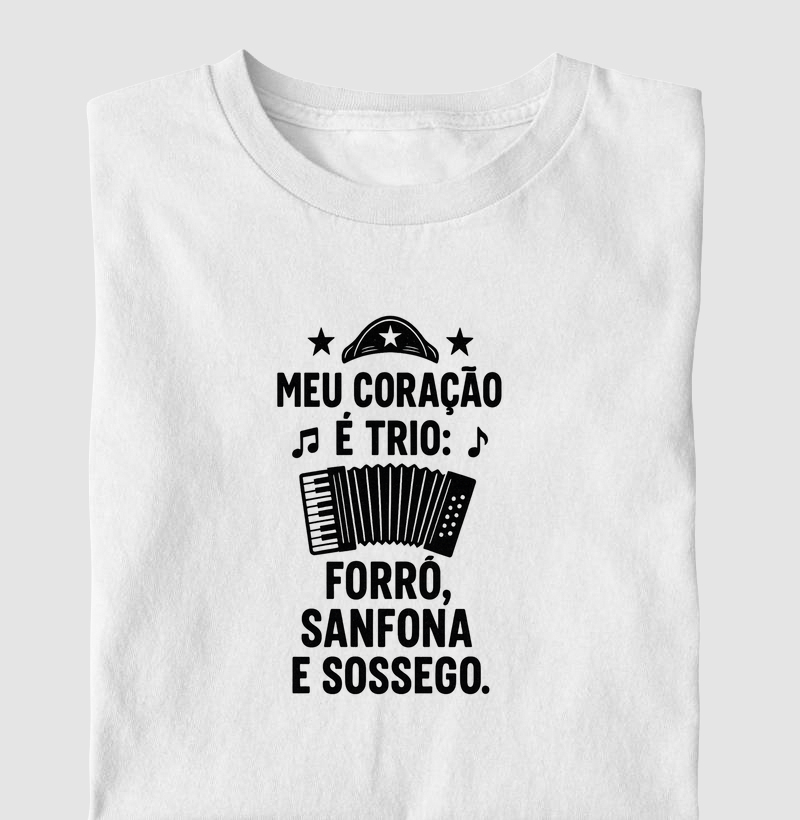 Meu coração é trio: forró, sanfona e sossego