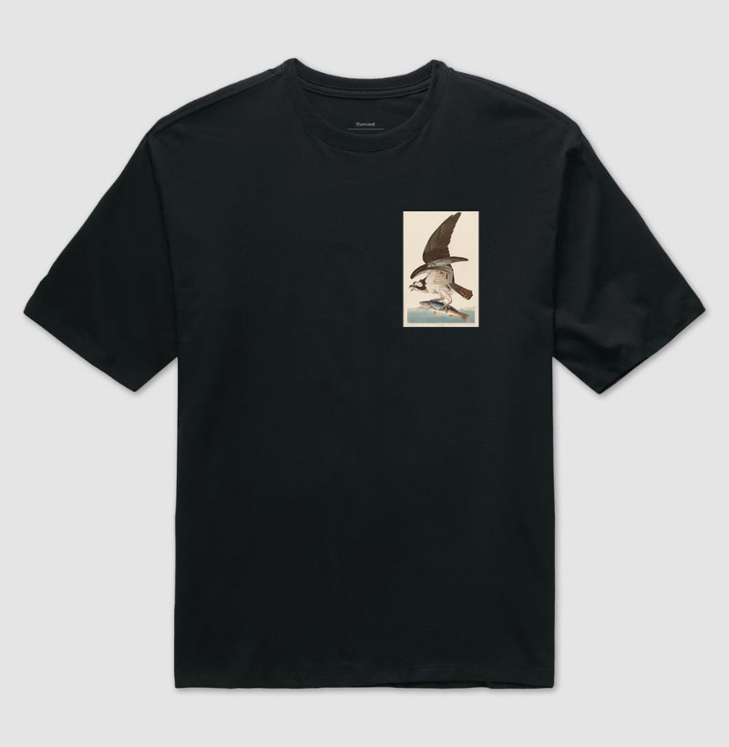Fish Hawk