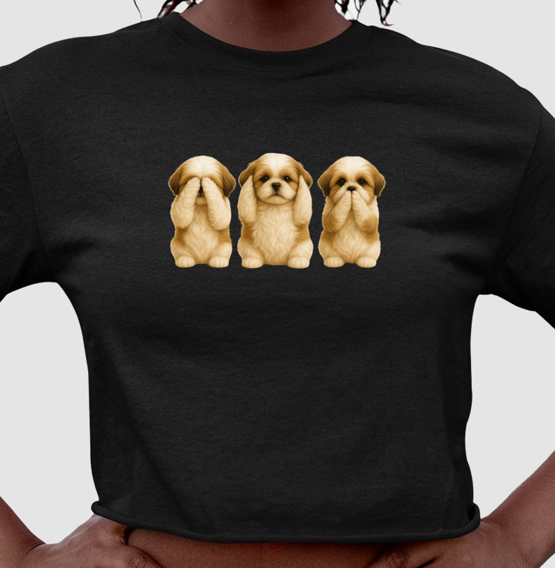 3 Shih Tzus Sábios