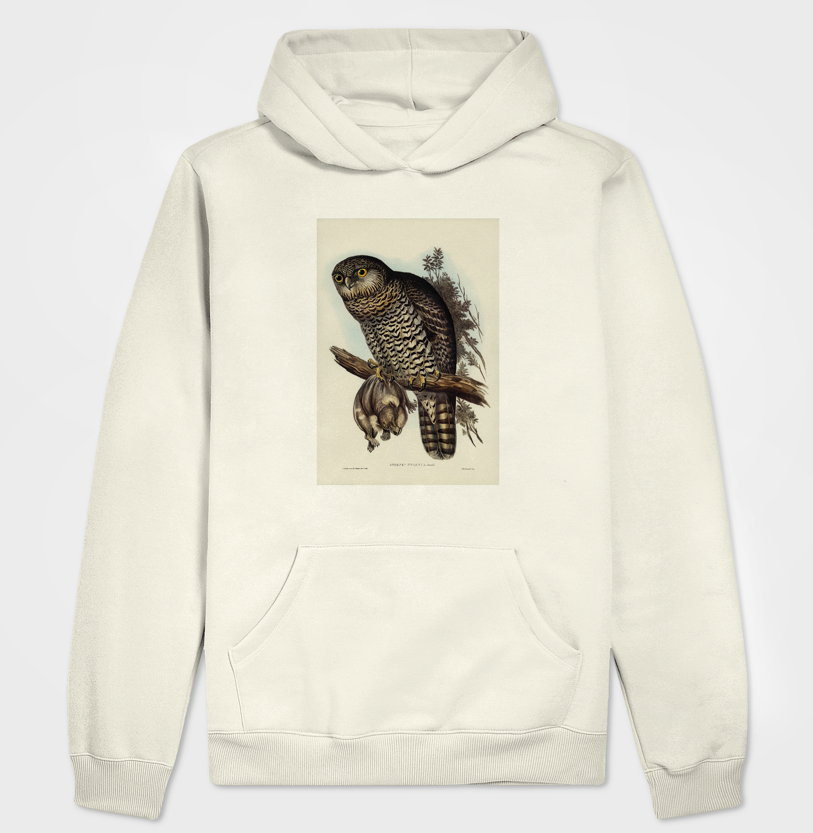 Powerful Owl