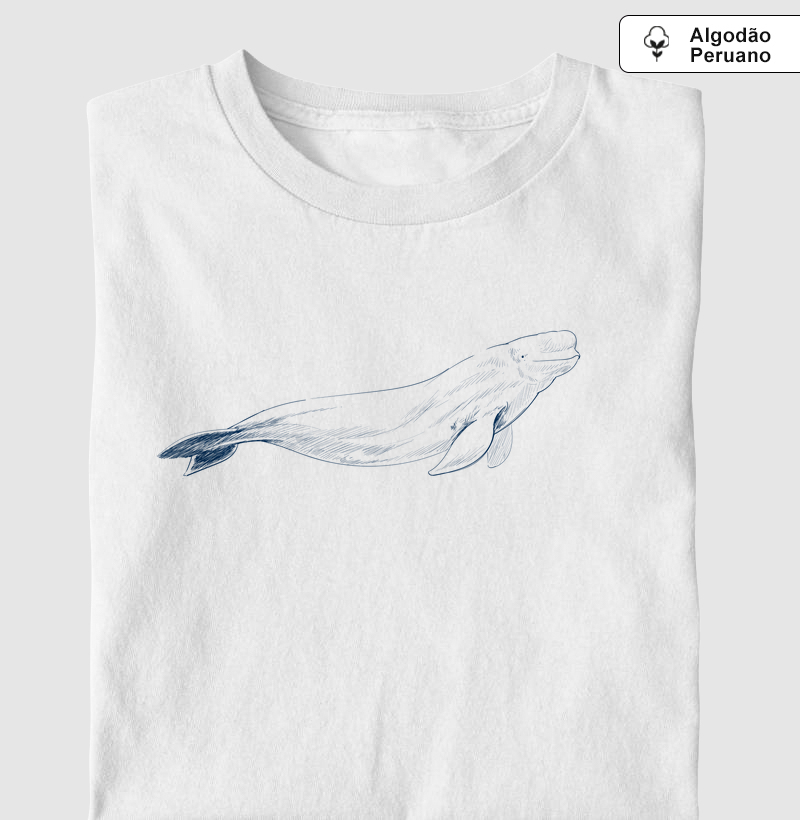 Beluga