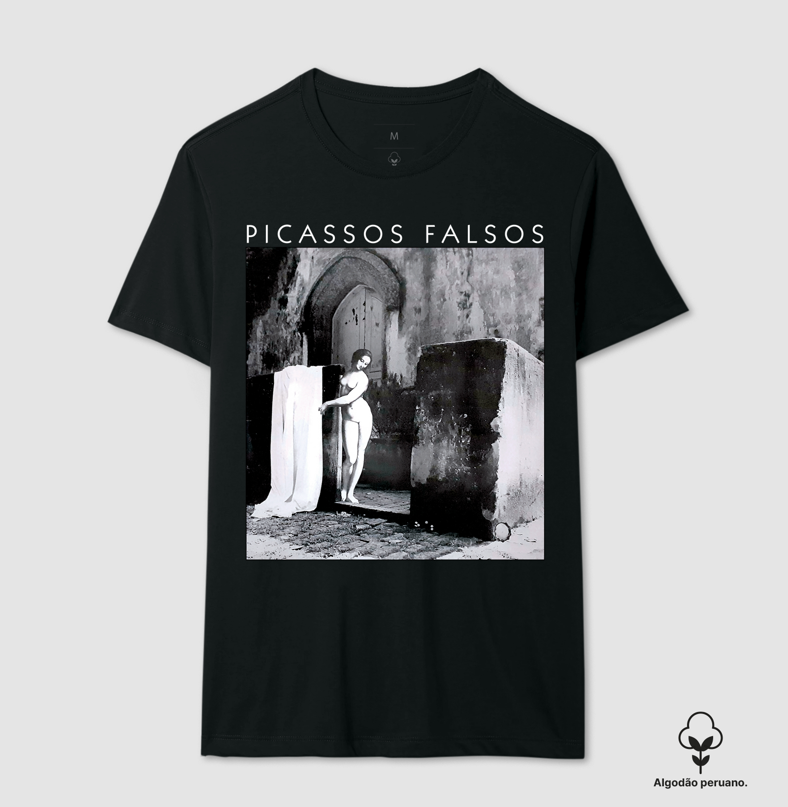 Picassos Falsos