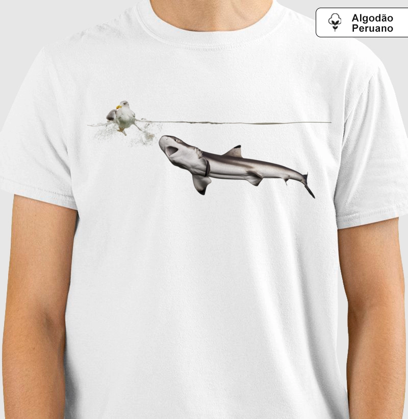 Shark Hunt