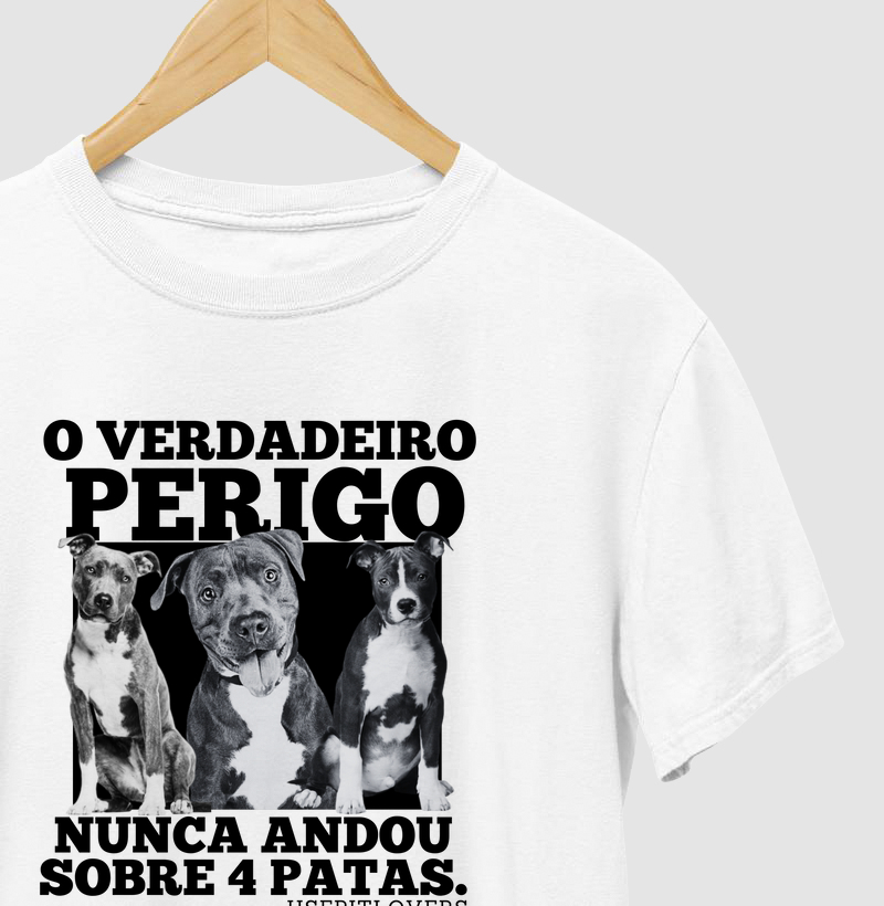 O VERDADEIRO PERIGO NUNCA ANDOU SOBRE 4 PATAS