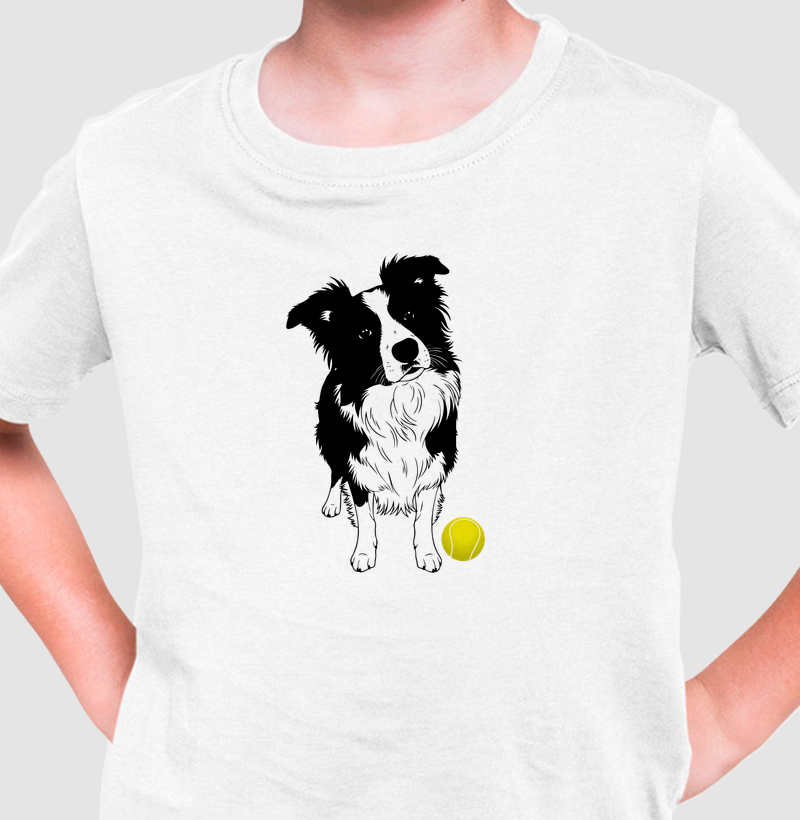 Border Collie e bola de tênis