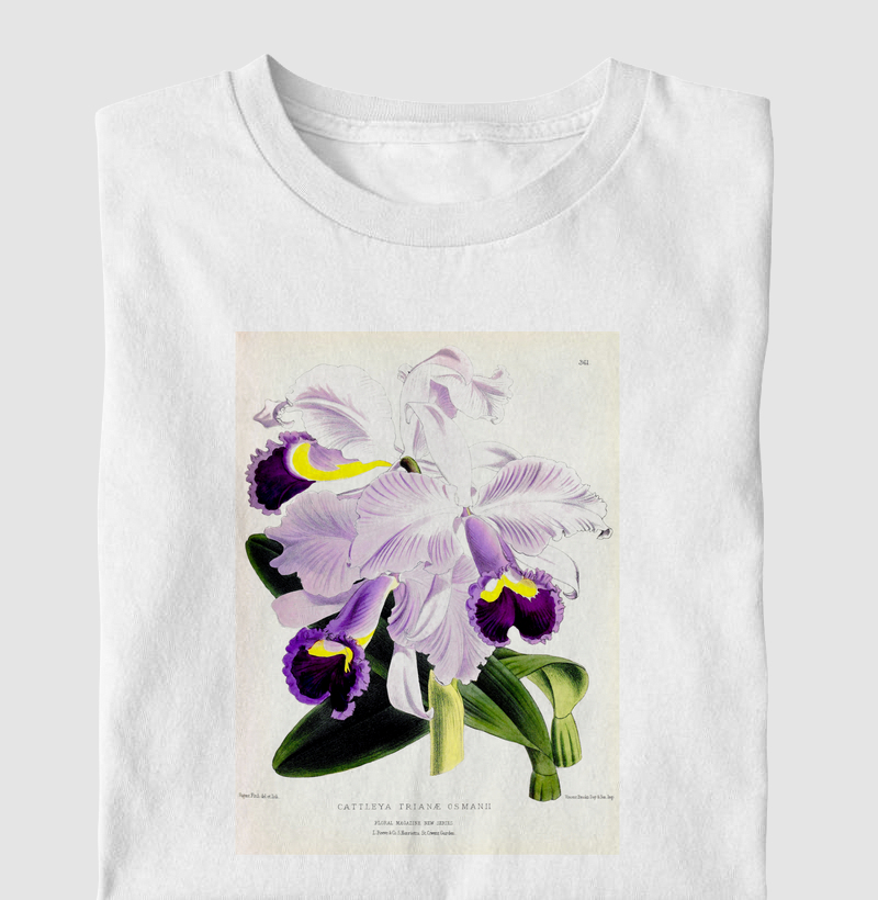 Cattleya trianae