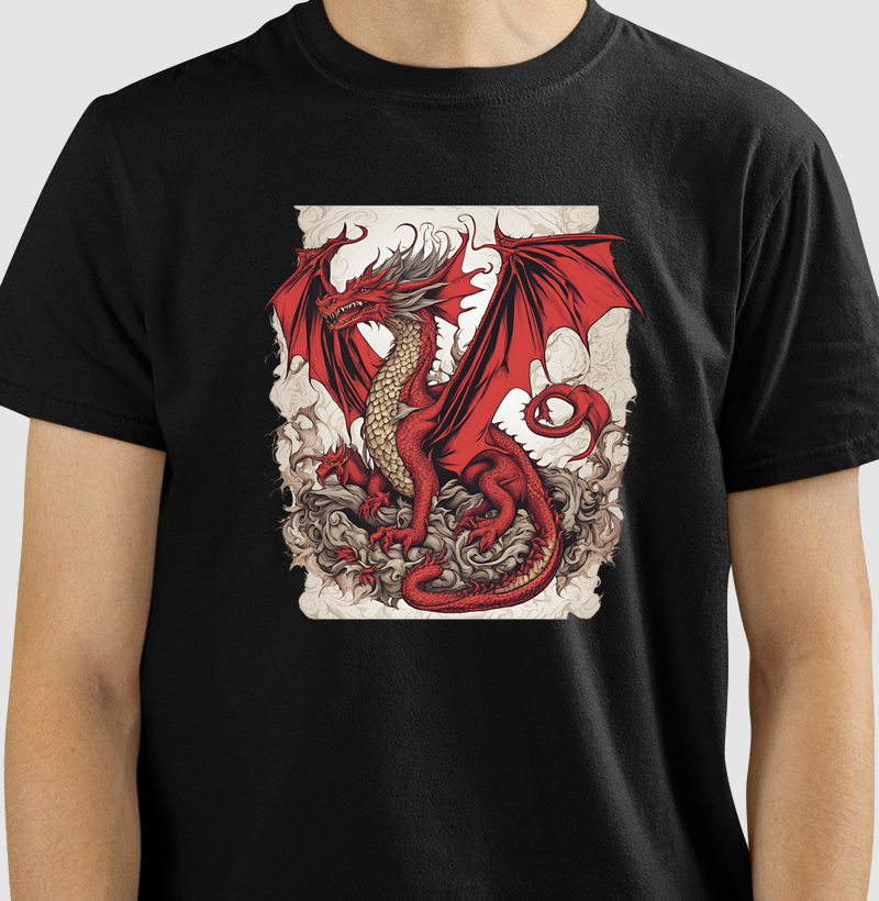 camiseta dragão
