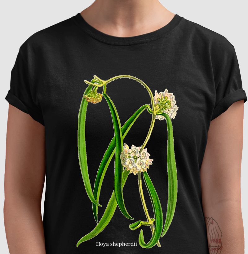 Camiseta Hoya shepherdii