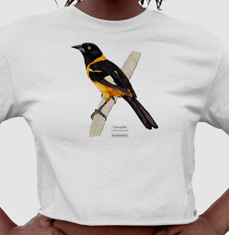 Aves do Brasil - Corrupião - Cropped