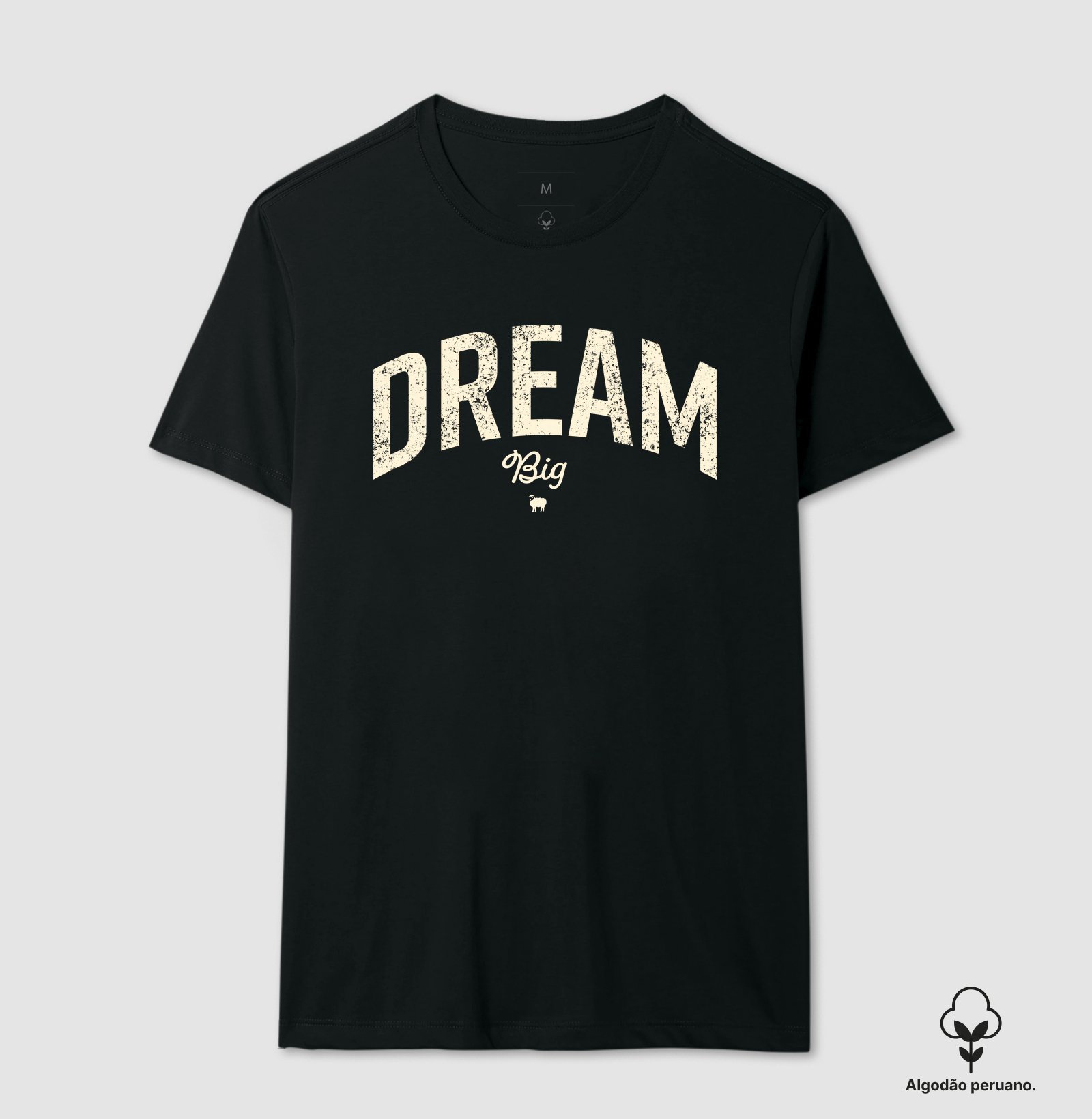 Dream Big